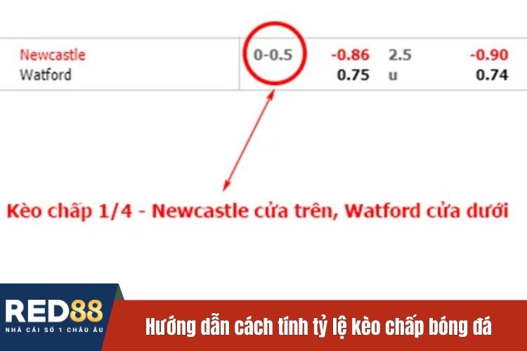Hướng dẫn cách tính tỷ lệ kèo chấp bóng đá châu Á tại RED88