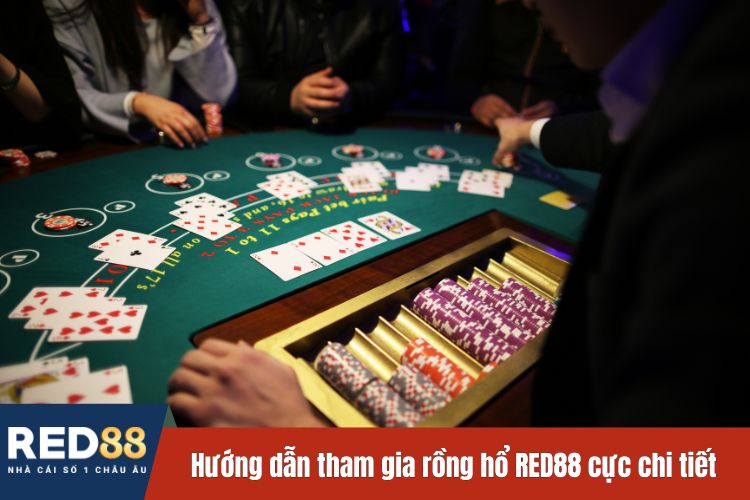 Hướng dẫn tham gia rồng hổ RED88 cực chi tiết cho bet thủ