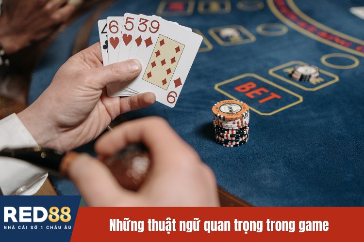 Những thuật ngữ quan trọng trong game