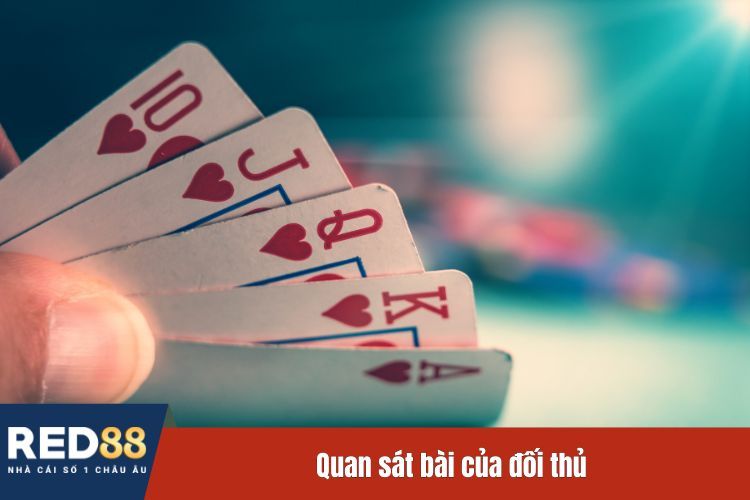 Quan sát bài của đối thủ