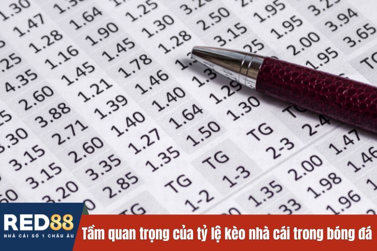 Tầm quan trọng của tỷ lệ kèo nhà cái trong bóng đá