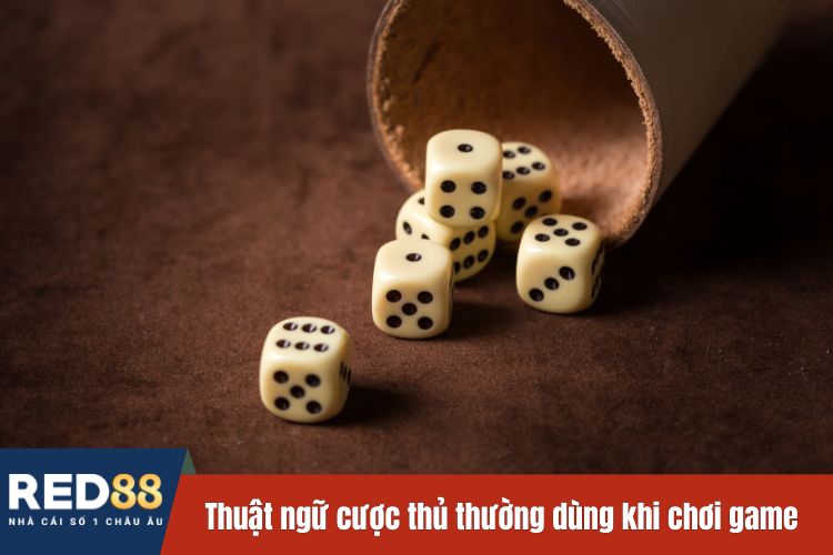 Thuật ngữ cược thủ thường dùng khi chơi game